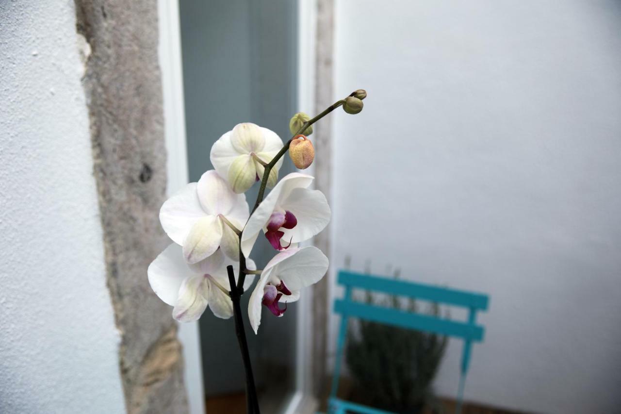 Santo Amaro'S House Apartment Lisboa Ngoại thất bức ảnh